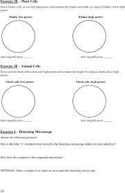 Lab 3 Use Of The Microscope Pdf Free Download