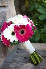 See more ideas about bouquet, gerbera daisy wedding, wedding. Pink And White Gerber Daisy Bridal Bouquet Daisy Bouquet Wedding Daisy Bridal Bouquet Red Bridal Bouquet