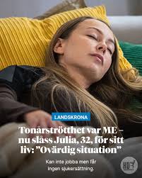 Djupt inne i skogen vid Hasslebro ligger den stora felsatsningen:  hundratals oanvända kvarnstenar.