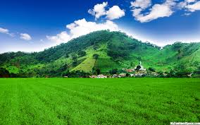 Hill Wallpapers Top Free Hill Backgrounds Wallpaperaccess Download 1080x2400 wallpapers hd free background images collection, high quality beautiful wallpapers for your mobile phone. hill wallpapers top free hill
