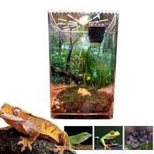 Perfect for arboreal reptiles and amphibians. Transparent Acrylic Reptiles Pet Terrarium Feeding Tank Insect Snake Spiders Chameleon Breeding Boxes Cage Case House Mega Discount E76203 Cicig