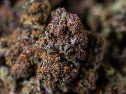 Flower is the female buds of the cannabis sativa plant. How To Recognize High Quality Cbd Flowers Complete Guide