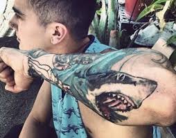 We did not find results for: 22 Excellent Shark Tattoo Ideas For Guys Styleoholic