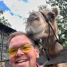 I'm trying to put up some Christmas lights and my neighbor is also playing  with her dogs in the woods. Unfortunately there's hunters sitting in a kids  tree fort. Is this anything