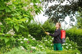 Der name sagt schon alles: Schadlinge Im Garten Loswerden Meister Meister