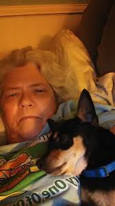 Fostering or rehoming 3 chihuahuas in need