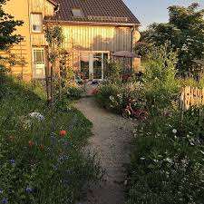 Immer Wenn Ich In Den Garten Komme Bin Ich Von Unseren Blumenwiesen Uberwaltigt Und Stolz Was Wir Aus Diesem Verwahrlosten G Blumen Wiese Garten Pool Im Garten