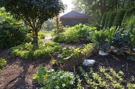Sheltered from the sun, you will need to water the plants less often. Grow Vegetables In The Shade It S Possible George Weigel Pennlive Com