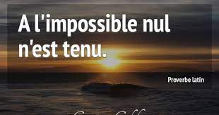 C'est en cherchant l'impossible que l'homme a toujours réalisé et reconnu le possible, et ceux qui se sont sagement limités à ce qui leur paraissait le possible n'ont jamais avancé d'un seul pas. Epingle Sur Proverbes
