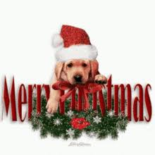 Find the perfect dog christmas cartoon stock photo. Christmas Dog Gifs Tenor