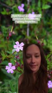 Paige Burson FNTP (@paigeforwellness)