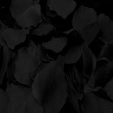 Il dve permette di personalizzare i riquadri pip con bordi 3d, ombre e luci. Vantablack Color Fade To Black Color Color Collection