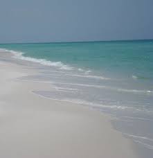 Camping On The Gulf Trekaroo Grayton Beach State Park Beach Camping Grayton Beach Florida