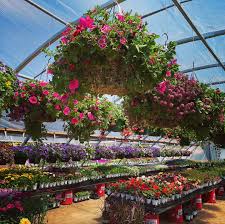 See more of loveland greenhouse on facebook. Plum Creek Garden Market Home Facebook