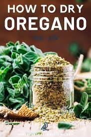 How To Dry Oregano Homespun Seasonal Living