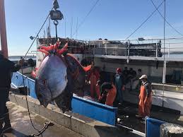 Lots of local fish, great prices, and today there's a cooking demo with free samples. Here S Tomorrow S List Tuna Harbor Dockside Market Facebook