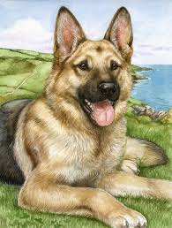 German Shepherd By Debbie Cook Flag Garden Size Cdco0386gf German Shepherd Dogs German Shepherd Artwork Shepherd Dog Breeds