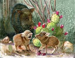 Mice eat cactus and they enjoy every little bite of it. Javelina Babies And Mom Painting By Marilyn Smith