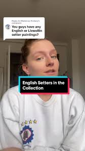 I Would Not Get A Gordon Setter