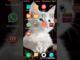 Whatsapp from facebook is a free messaging and video calling app. Nomor Wa Guz Azmi Fatimah Halilintar Dan Bang Atta Halilintar Youtube