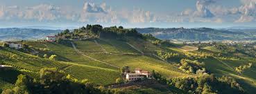 Image result for Vigna comosa