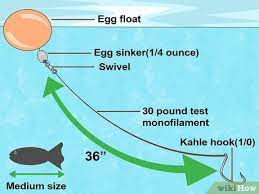 A quick snap of the rod tip makes the float pop against the beads and causes the bait to hop below. How To Create A Setup For Inshore Fishing With Pictures