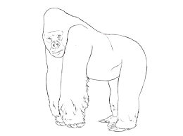 Pin On Guided Drawing
