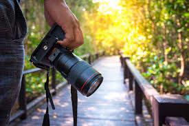 These Are The 10 Best Mirrorless Cameras Of 2017 Let's take a look at the best cameras for photography beginners, no matter what you want to shoot.