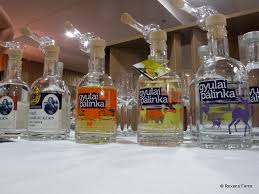 Nu uitati va rog sa precizati si celelalte garduri facute de bulgaria la granita cu turcia, slovenia si ungaria la granitele cu croatia, ungaria la granita cu serbia iar acum se discuta despre gard facut de austria la granite cu slovenia. BÄi Termale In Ungaria Gyula