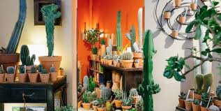 A deux pas de la place de la république, les témoins des attaques de paris se sont réfugiés dans un restaurant. Les Meilleures Boutiques De Plantes De Paris Paris Zigzag Insolite Secret