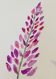 We did not find results for: Watercolors For Beginners Lupine Flowers Watercolor Paintings Easy Watercolor Flowers Tutorial Flower Art