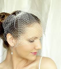 Classic Birdcage Veil