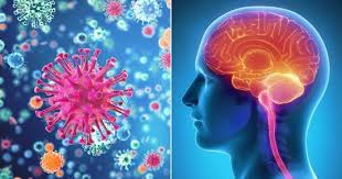 See meningitis (peds) for the pediatric page. ÙƒÙŠÙ ØªÙ†ØªÙ‚Ù„ Ø¹Ø¯ÙˆÙ‰ Ø§Ù„ØªÙ‡Ø§Ø¨ Ø§Ù„Ø³Ø­Ø§ÙŠØ§ ÙˆÙ…Ø§Ù‡Ù‰ Ø·Ø±Ù‚ Ø§Ù„ÙˆÙ‚Ø§ÙŠØ© Ù…Ù†Ù‡Ø§ Ø§Ù„ÙŠÙˆÙ… Ø§Ù„Ø³Ø§Ø¨Ø¹