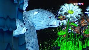 Segmentation des quartiers selon le type de population et le type d'animation. Jardin Des Plantes A Recu Son Premier Festival Des Lumieres Lci