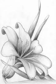 Maybe you would like to learn more about one of these? 1001 Ideas And Tutorials For Easy Flowers To Draw Pictures 1001 Ideas And Tutorials For Easy Flowers Realistic Flower Drawing Flower Sketches Flower Drawing