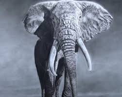 Check spelling or type a new query. How To Draw A Realistic Elephant Archives How To Draw Step By Step