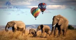 Die ballons sind schwebende kommunikationsstationen, die mit der entsprechenden hardware sowie solarzellen ausgestattet sind, die die systeme das gilt auch für die in kenia eingesetzten ballons. Masai Mara Private Safari Best 3 Day Mara Tour With Balloon