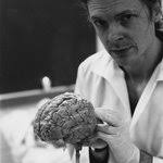 Danny Shubert's Instagram, Twitter & Facebook