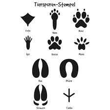The bright side of mathematics. Holzstempel Tierspuren Waldorfshop Waldorfspielzeug Und Material Fur Waldorfkindergarten Waldorfschule Kinder Und Eltern