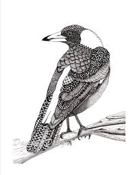 Black And White Australian Animal Prints Australian Magpie Pattern Art Drawing Zentangle Doodle Art Black And White Bird Print Magpie Art Pattern Art Black And White Birds