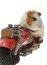 Pin On Creative Photos