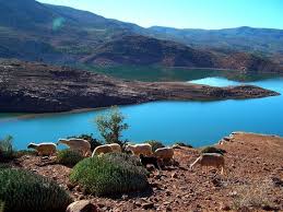 Site Ecologique Du Haut Atlas Azilal Lac Bin El Ouidane Maroc Voyage Maroc Destinations