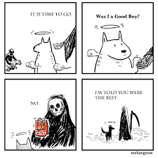 All Aboard The Feels Train Meme By Chrisman18278 Memedroid