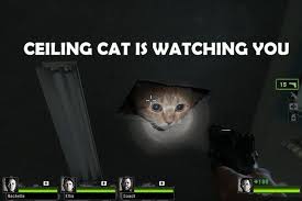 Scottish twitter user emma recently tweeted about a cat living in the. Ceiling Cat Cats Memes Cat S