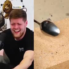 Just Wait For End🥵 #bear #podcasts #peyton #cams #youshouldknowpodcast  #foryou #fvypシ