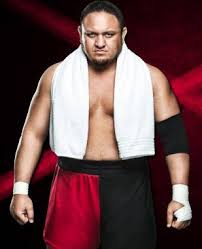 Wiki, salary, girlfriend and personal information of samoa joe. Samoa Joe Wrestling Tv Tropes