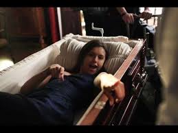 The Vampire Diaries Season 7 Elena Gilbert Is Back Vampire Diaries Season 7 Vampire Diaries Seasons Vampire Diaries Cast