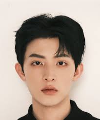 Wang Zu Yi (王祖一)