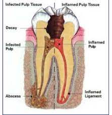 Pin On Health And Fitness