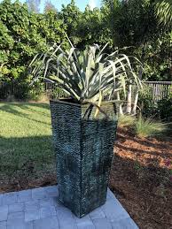 If it is a new, young plant, rabbits may eat it down to the roots. A Salad Bar For Rabbits Susan S Guide To Sanibel Real Estate